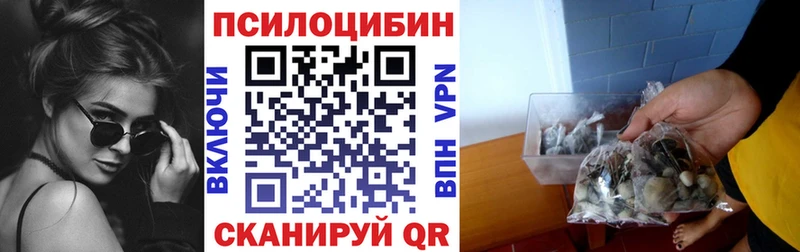 Купить где  Избербаш  Галлюциногенные грибы Magic Shrooms 